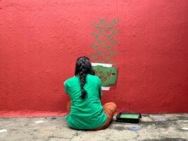 jamac + compa_autoria compartilhada