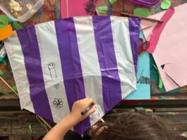 jamac + compa_autoria compartilhada